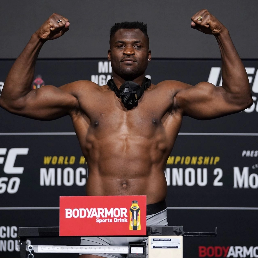 Francis Ngannou The Predator