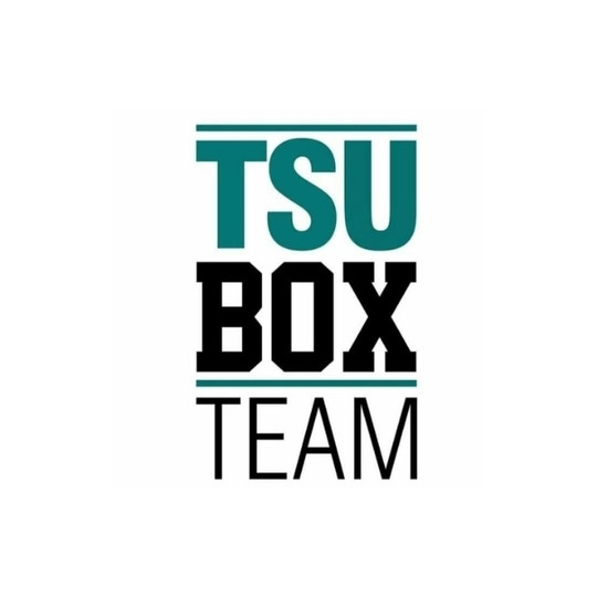 Tsubox Team 