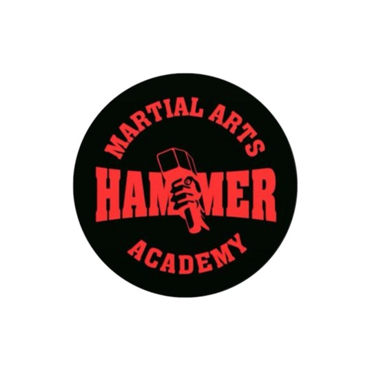 Hammer Academy 
