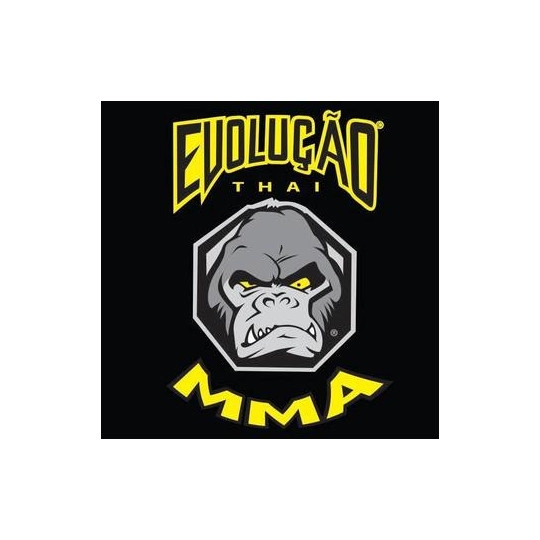 EvoluÃ§Ã£o Thai MMA 