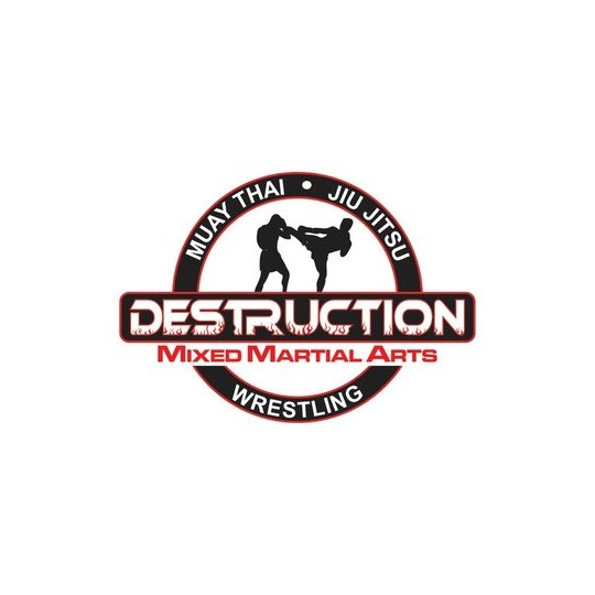 Team Destruction 