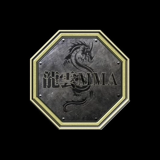 Longyun MMA Gym 
