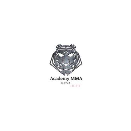 Academy MMA 