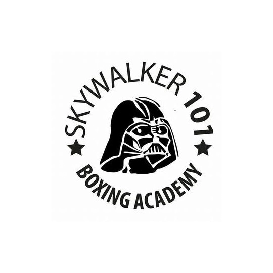 Skywalker 101 Boxing Academy 