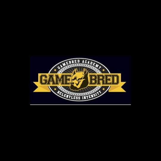 Gamebred Academy 