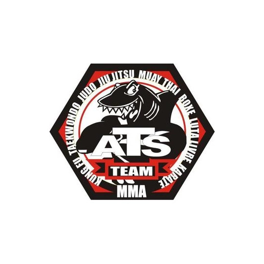 ATS Team 