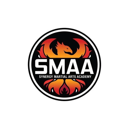 Synergy Martial Arts Academy 
