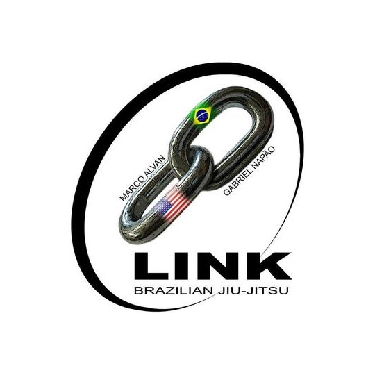 Team Link 