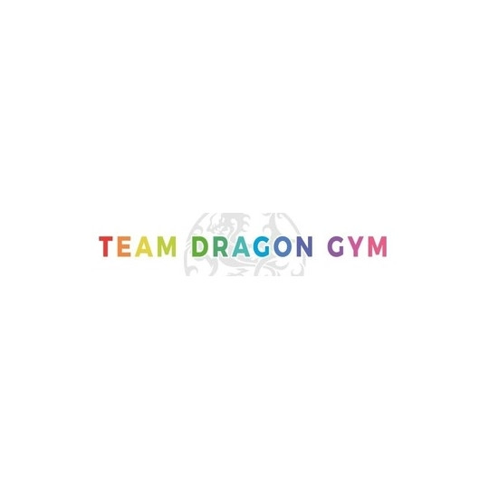 Team Dragon 