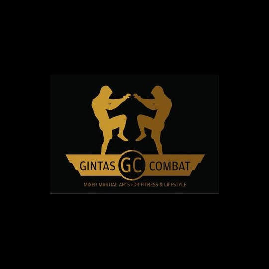 Gintas Combat 