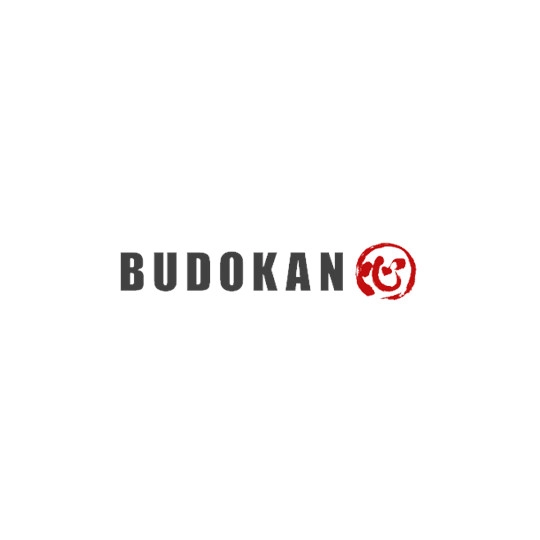 Budokan Martial Arts Academy 