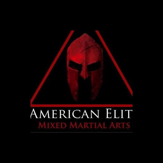 American Elite MMA 
