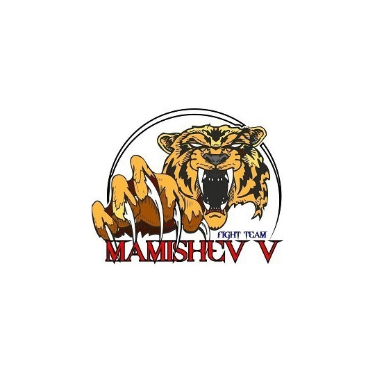 Mamishev Team 