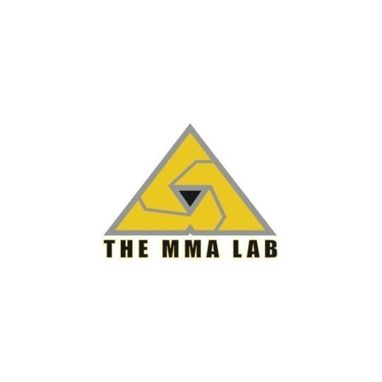 MMA Lab 