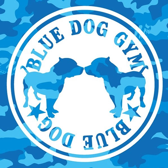 Blue Dog Gym 
