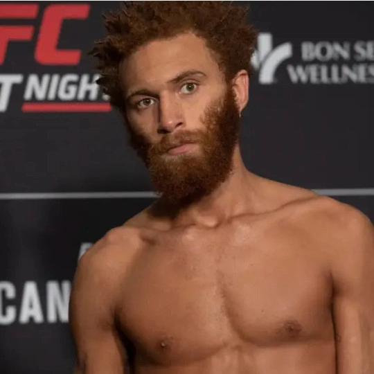 Luis Pena Violent Bob Ross