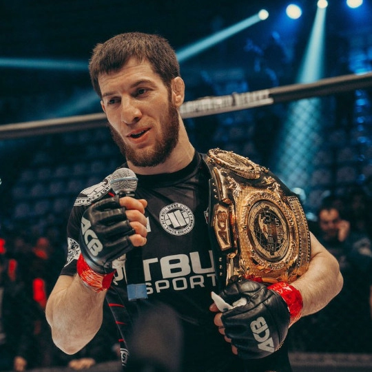 Abdul-Aziz Abdulvakhabov Lion