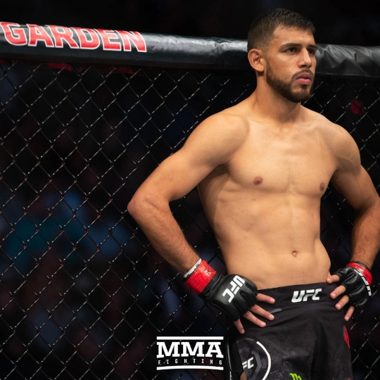 Yair Rodriguez El Pantera